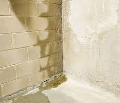 basement-waterproofing-everdry-waterproofing-of-michiana-1