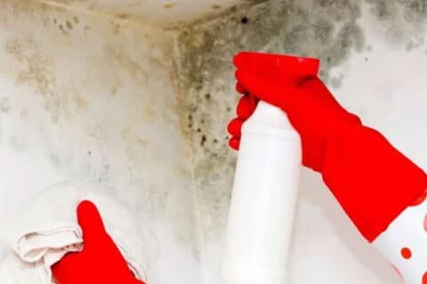 Basement repair and waterproofing service by Everdry Michiana