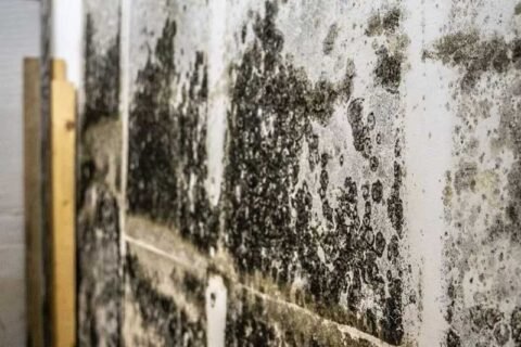 Professional basement waterproofing treatment
