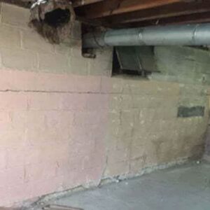Preventing Foundation Damage Through Landscape Design