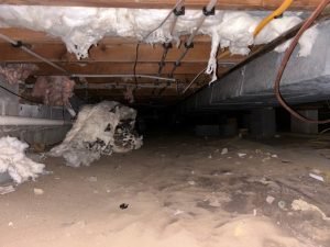 crawlspace-waterproofing-everdry-waterproofing-of-michiana-3
