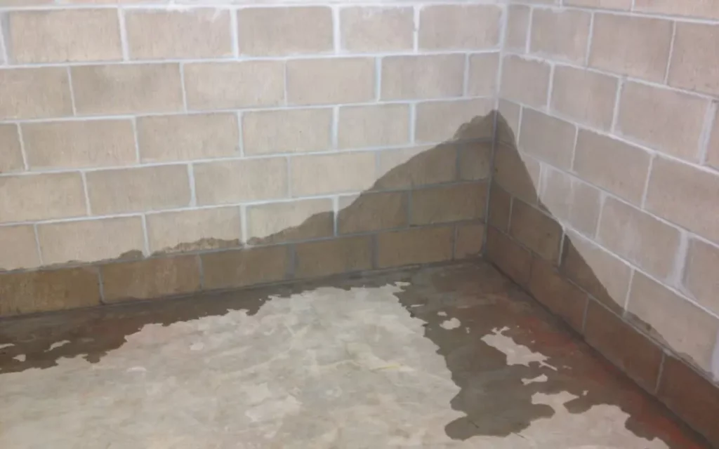 wet basement