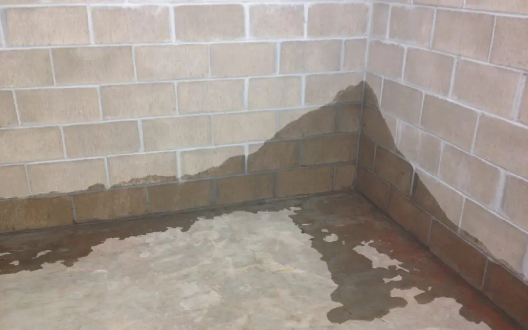 wet basement